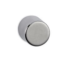 Jakob Maul Magnet 1,0×1,0 cm Silber 4 Stück