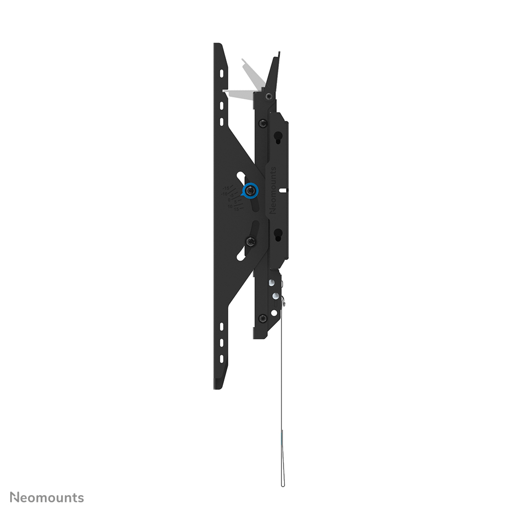 NewStar LEVEL-750 43‑75 Zoll Schwarz 100 kg