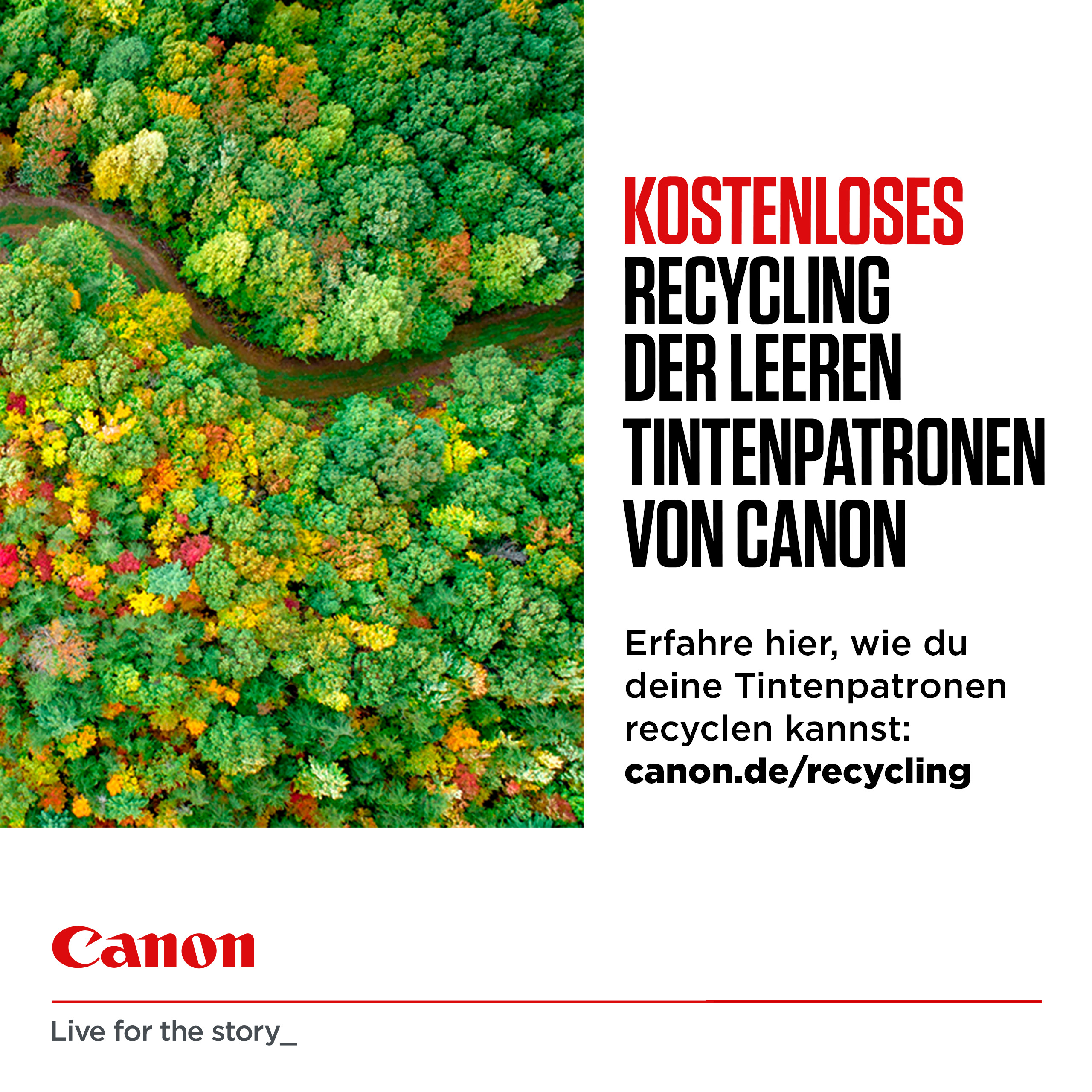 Canon PGI-550PGBK XL Hohe Ergiebigkeit