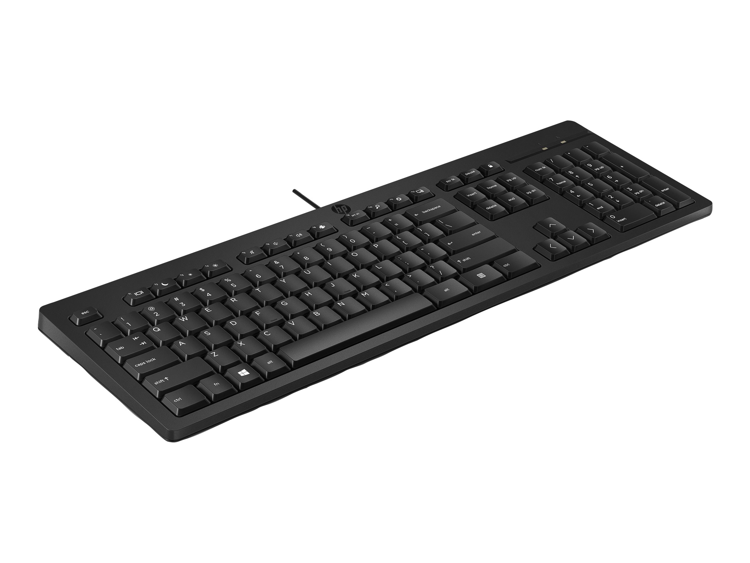 HP 125 G2 Tastatur Full Size USB