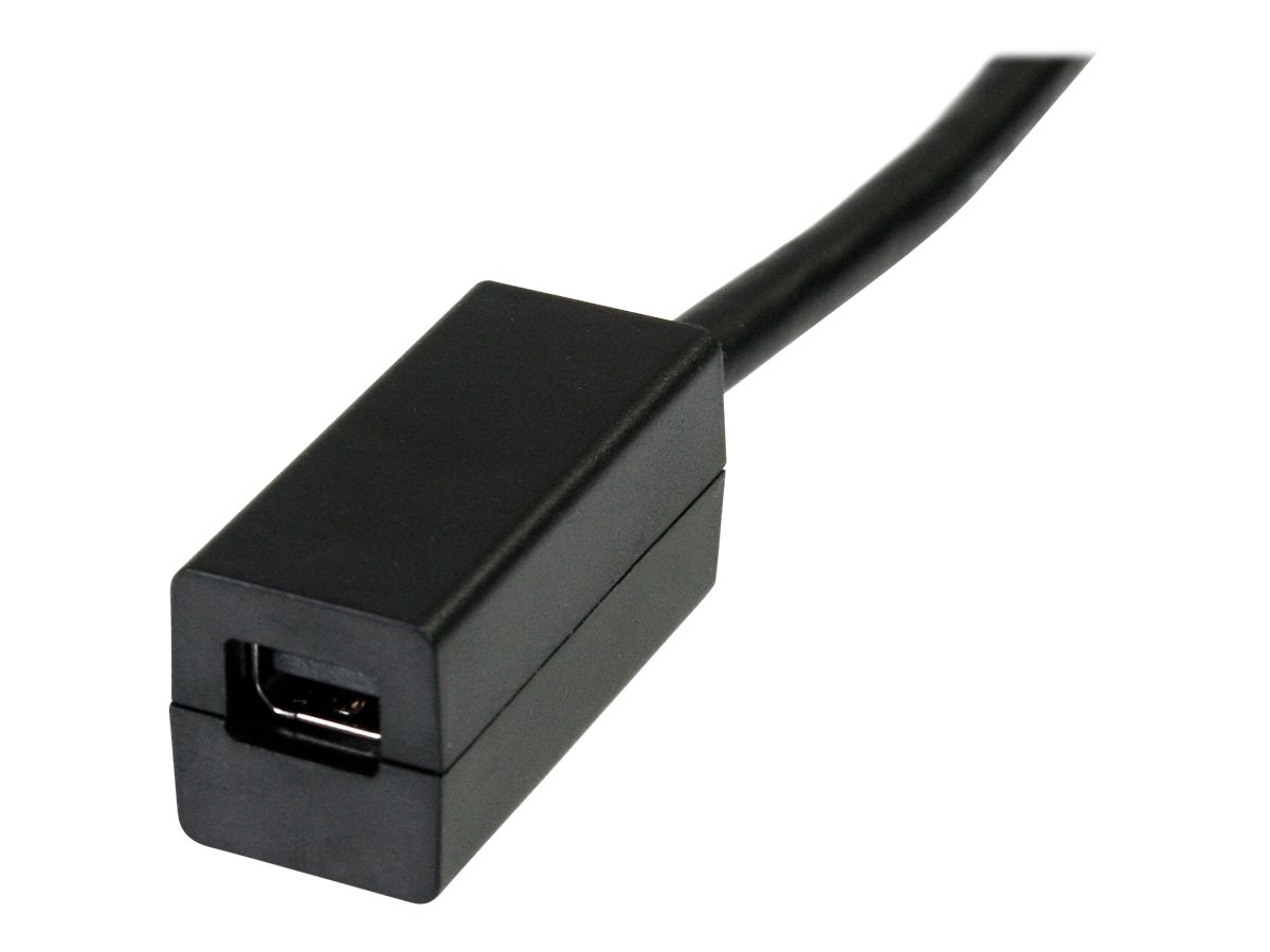 StarTech.com DisplayPort zu Mini DisplayPort Adapter 15 cm