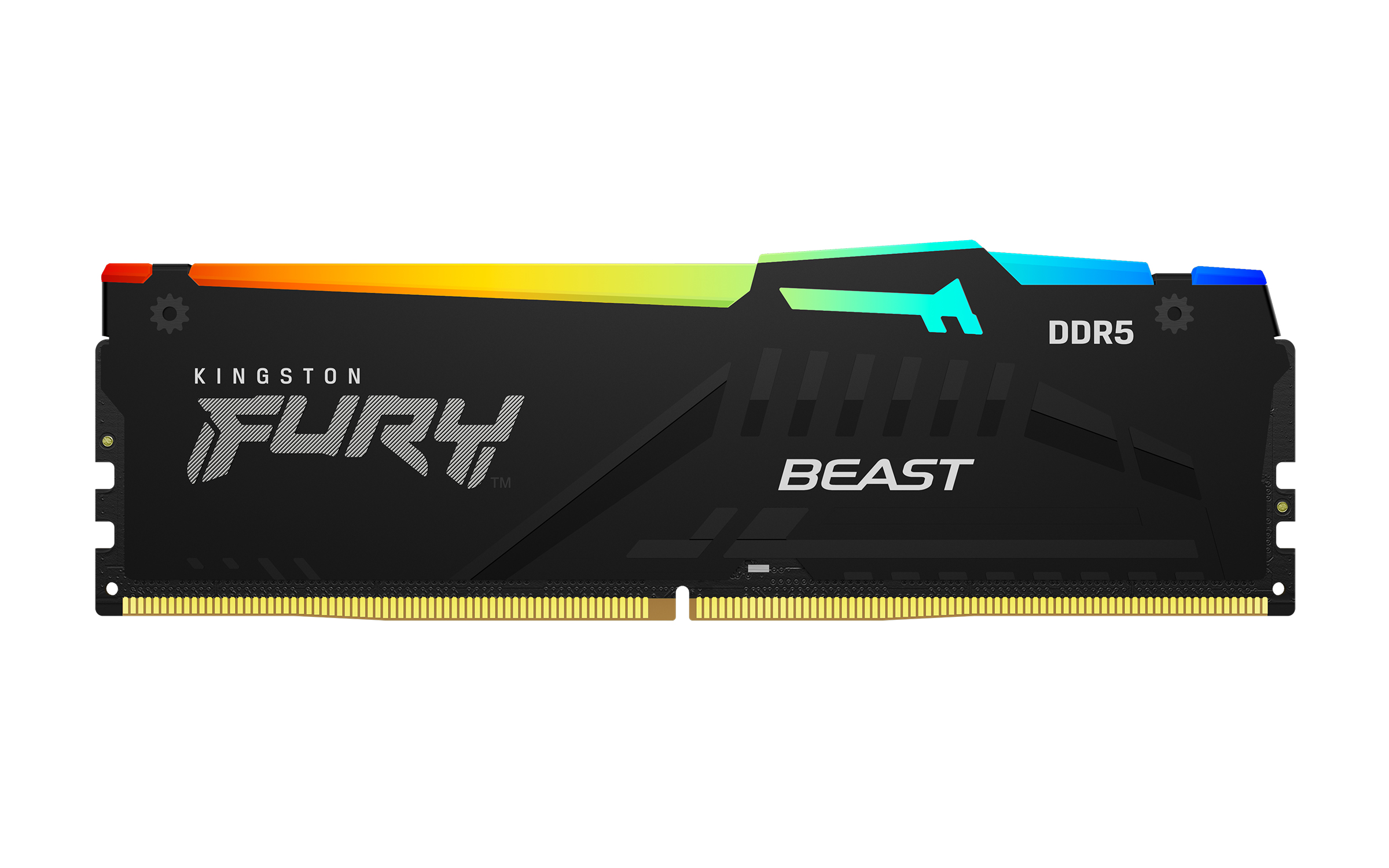 DIMM 32 GB DDR55600 2x 16 GB DualKit schwarz KF556C36BBEAK232 FURY Beast RGB INTEL XMP AMD EXPO