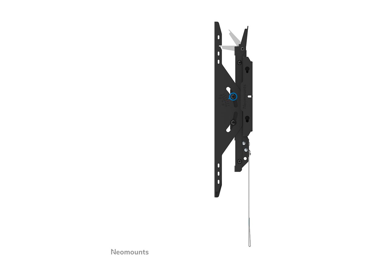 NewStar LEVEL-750 43‑75 Zoll Schwarz 100 kg