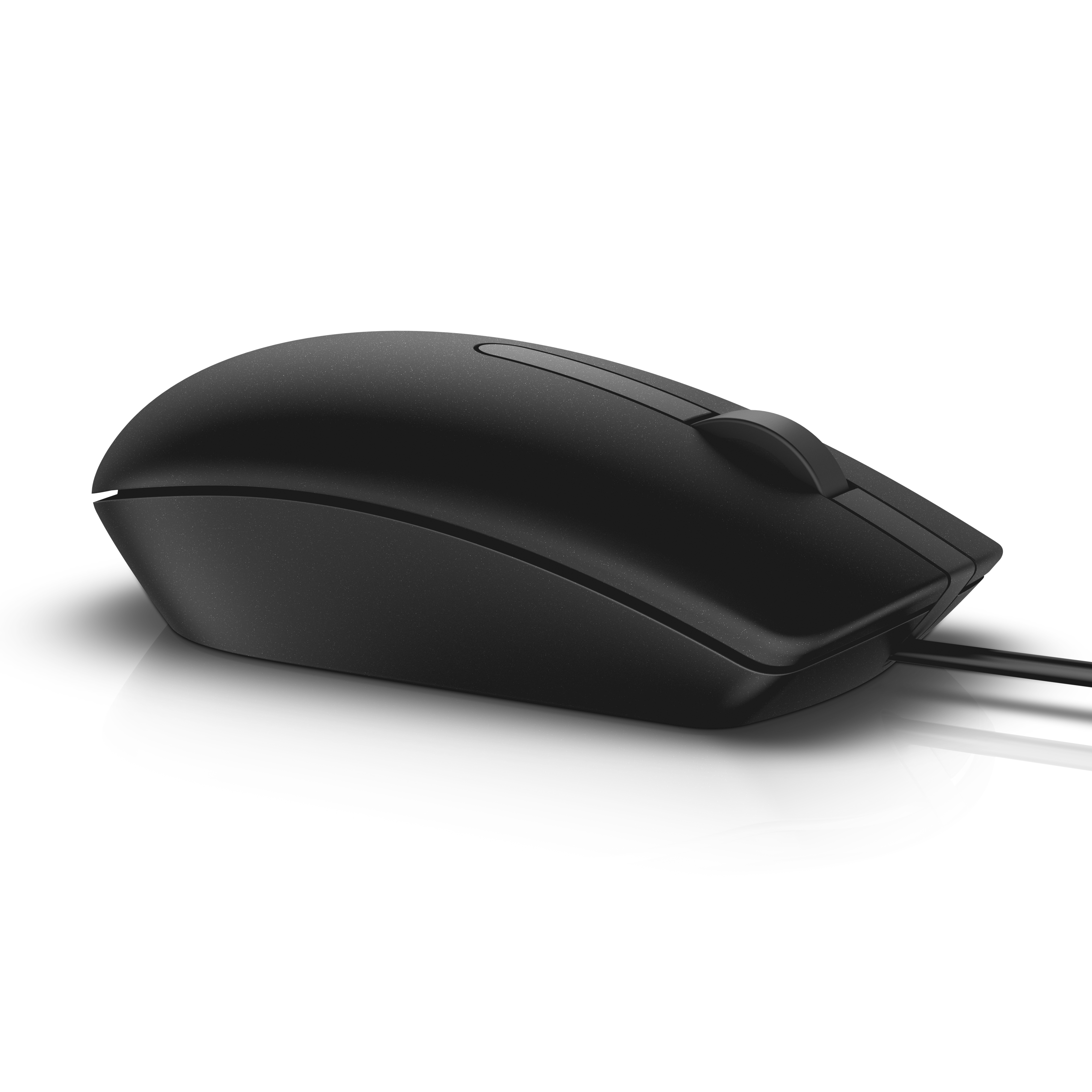 Dell MS116 Maus optisch