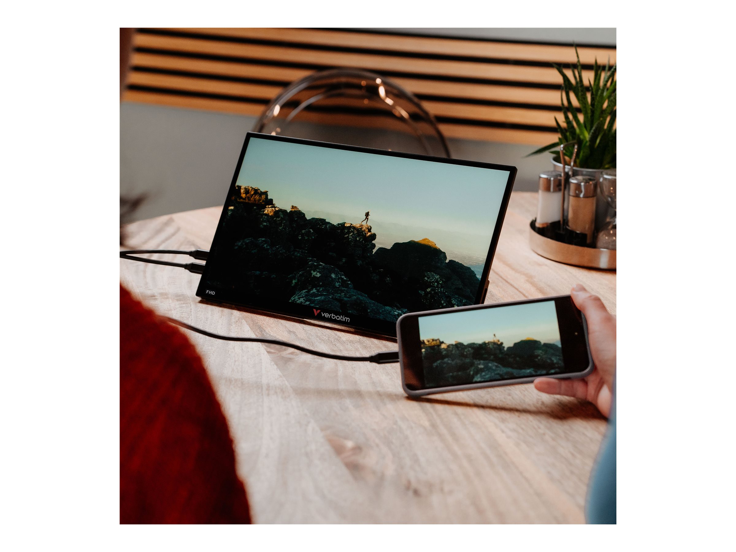 Verbatim PM-14 Tragbarer LED-Monitor 14 Zoll Full HD