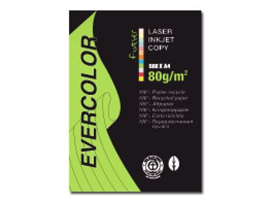 Clairefontaine Evercolor lindgrün A4