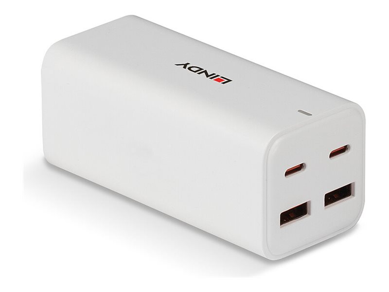 LINDY 100W 4Port USB Desktop GaN Fast Charger