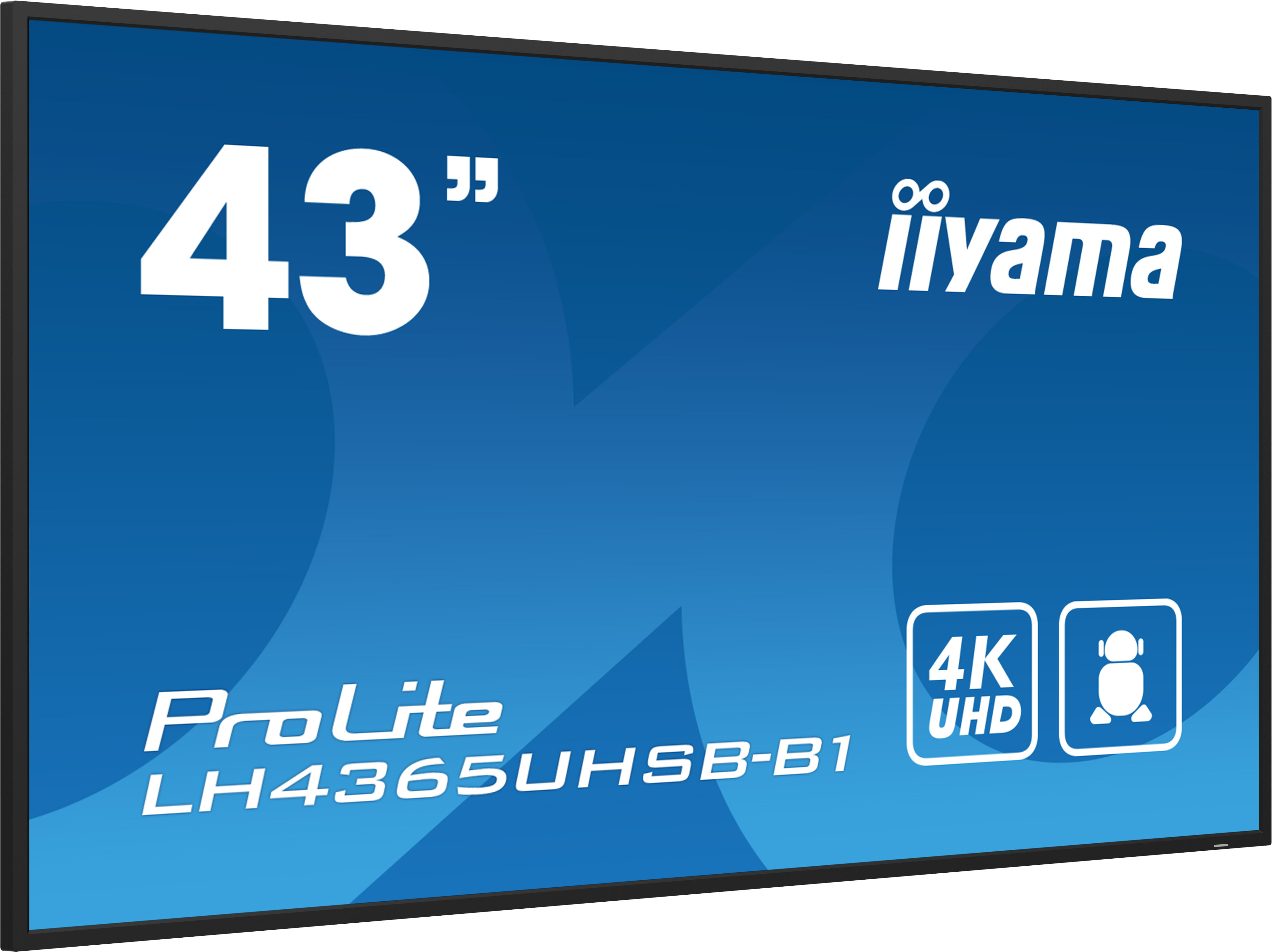 Iiyama ProLite LH4365UHSB-B1 43 Zoll IPS