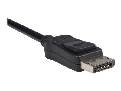 STARTECHCOM DisplayPort auf HDMI Video Adapter Konverter DP zu HDMI mit bis zu 1920x1200 DP HDMI Länge 24cm StBu