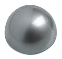 Jakob Maul MAUL Magnet Silber Kunststoff Ø 3,0 x 1,9 cm 10 Stück