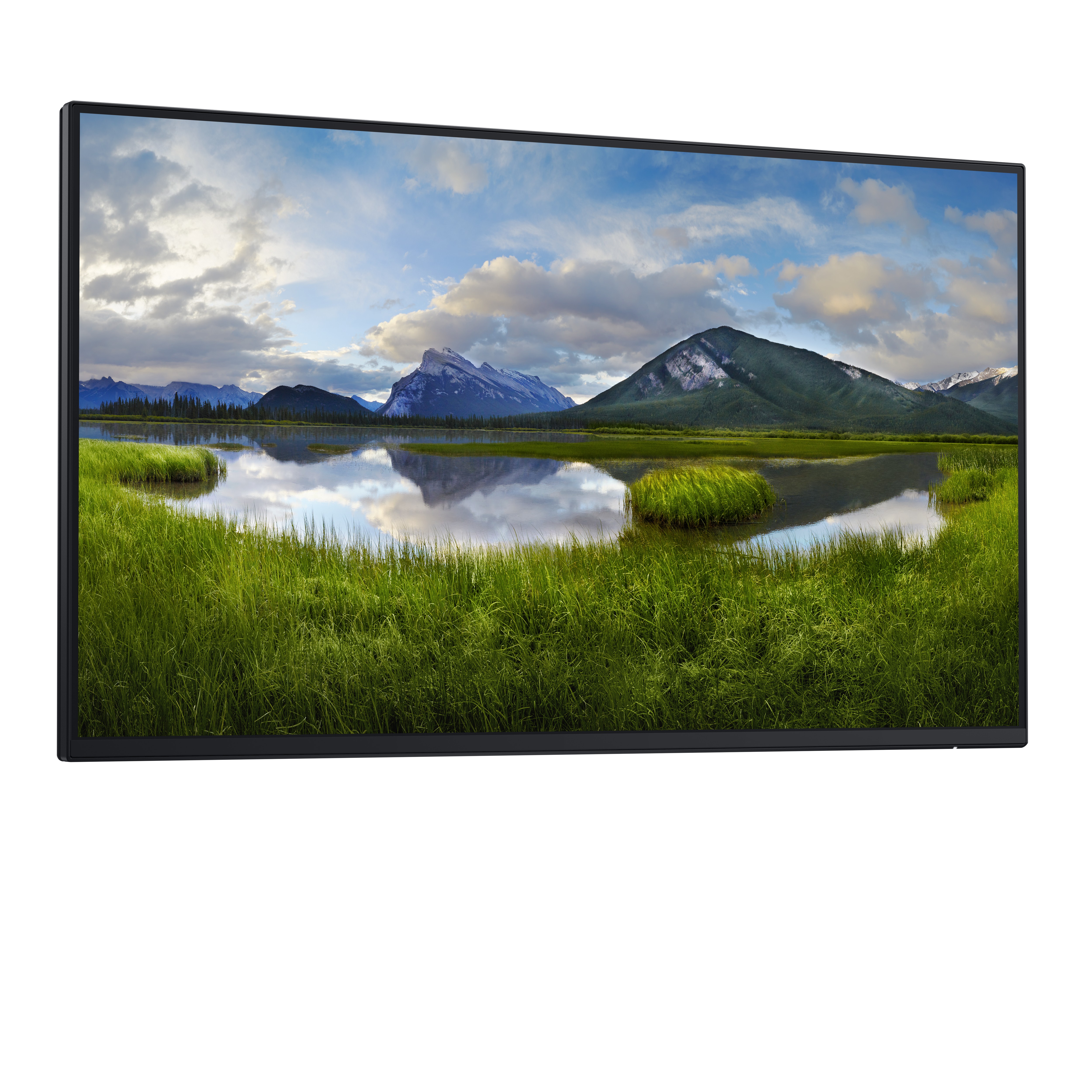Dell P2425H 24 Zoll HDMI DP USB‑C ohne Standfuß