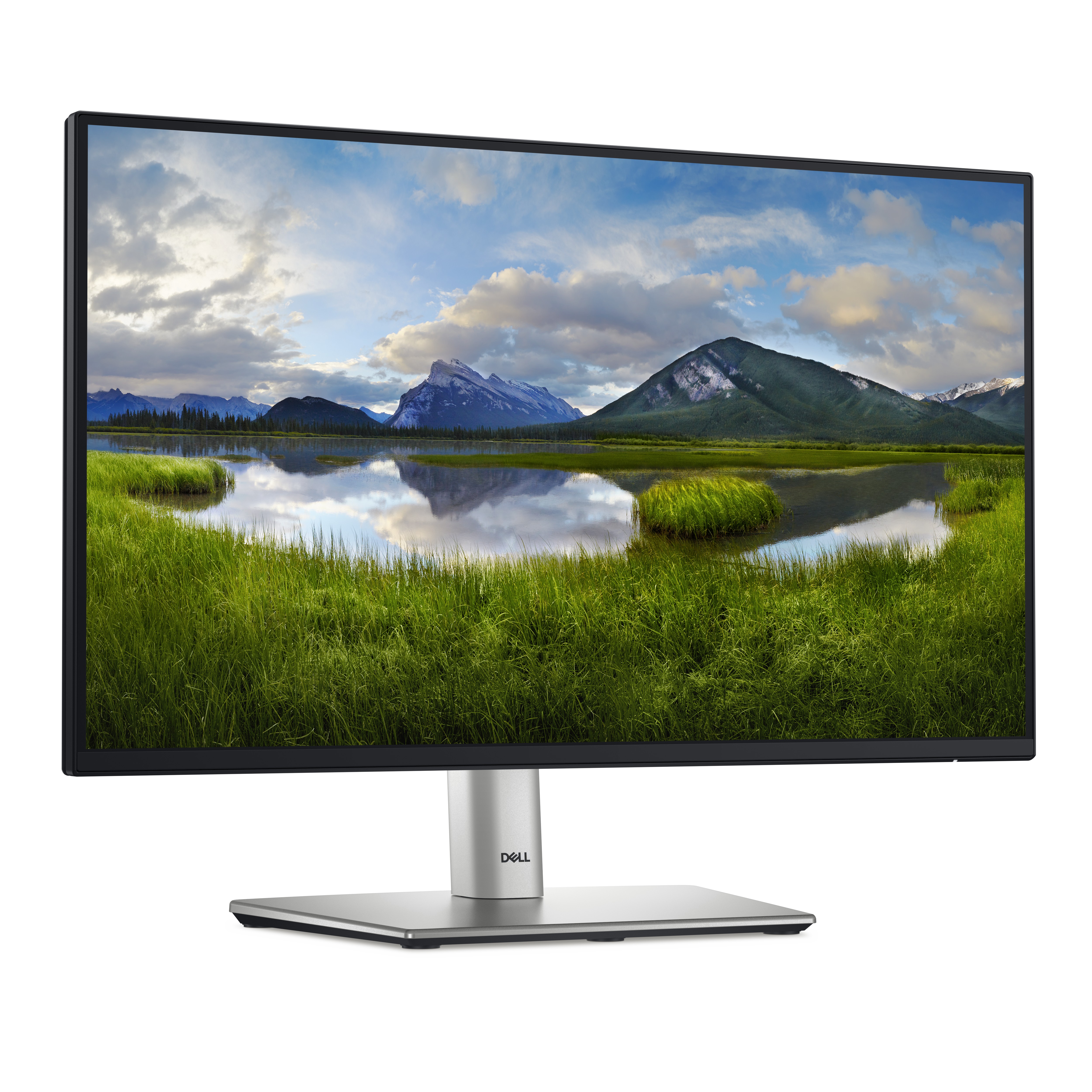 Dell P2225H 22 Zoll IPS