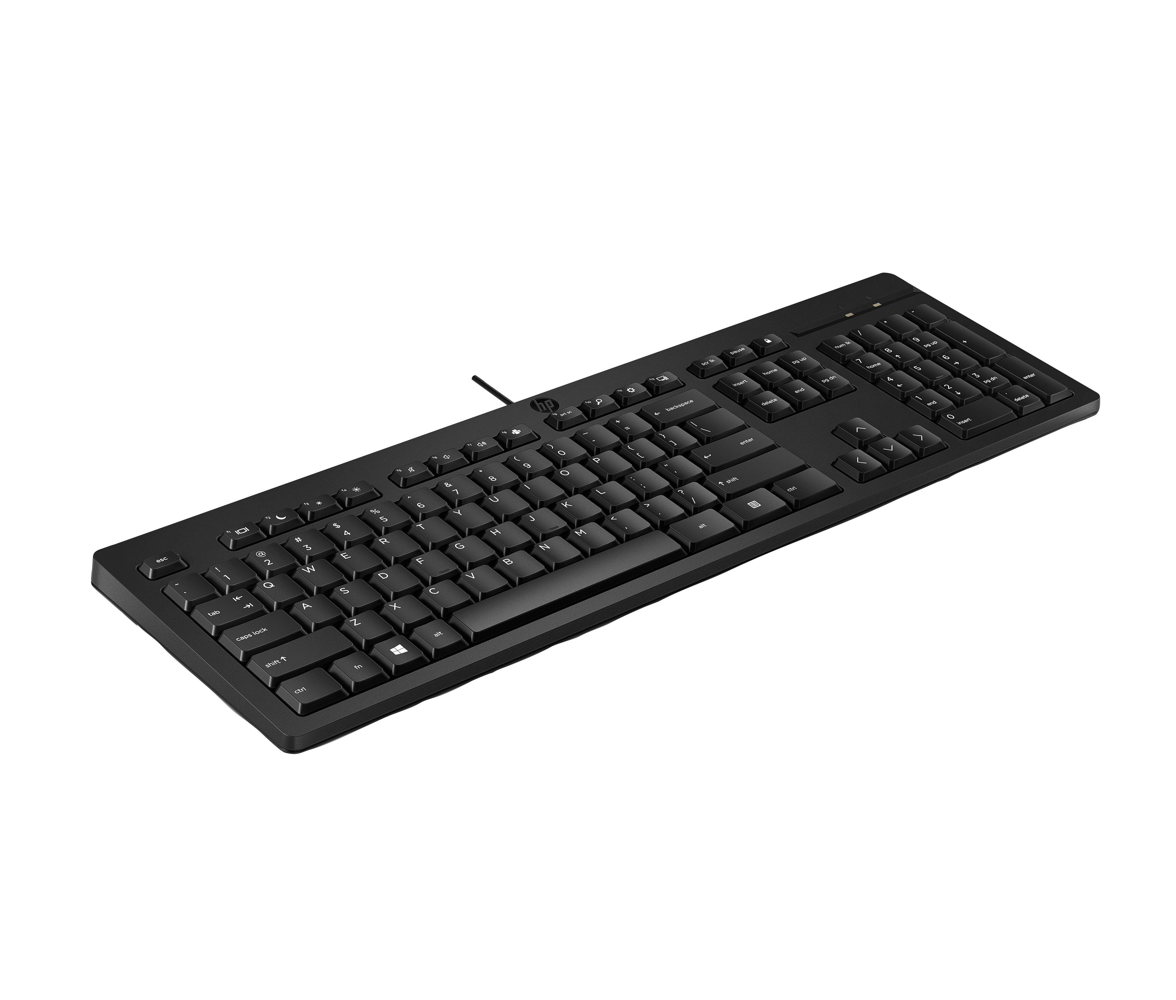 HP 125 G2 Tastatur Full Size USB
