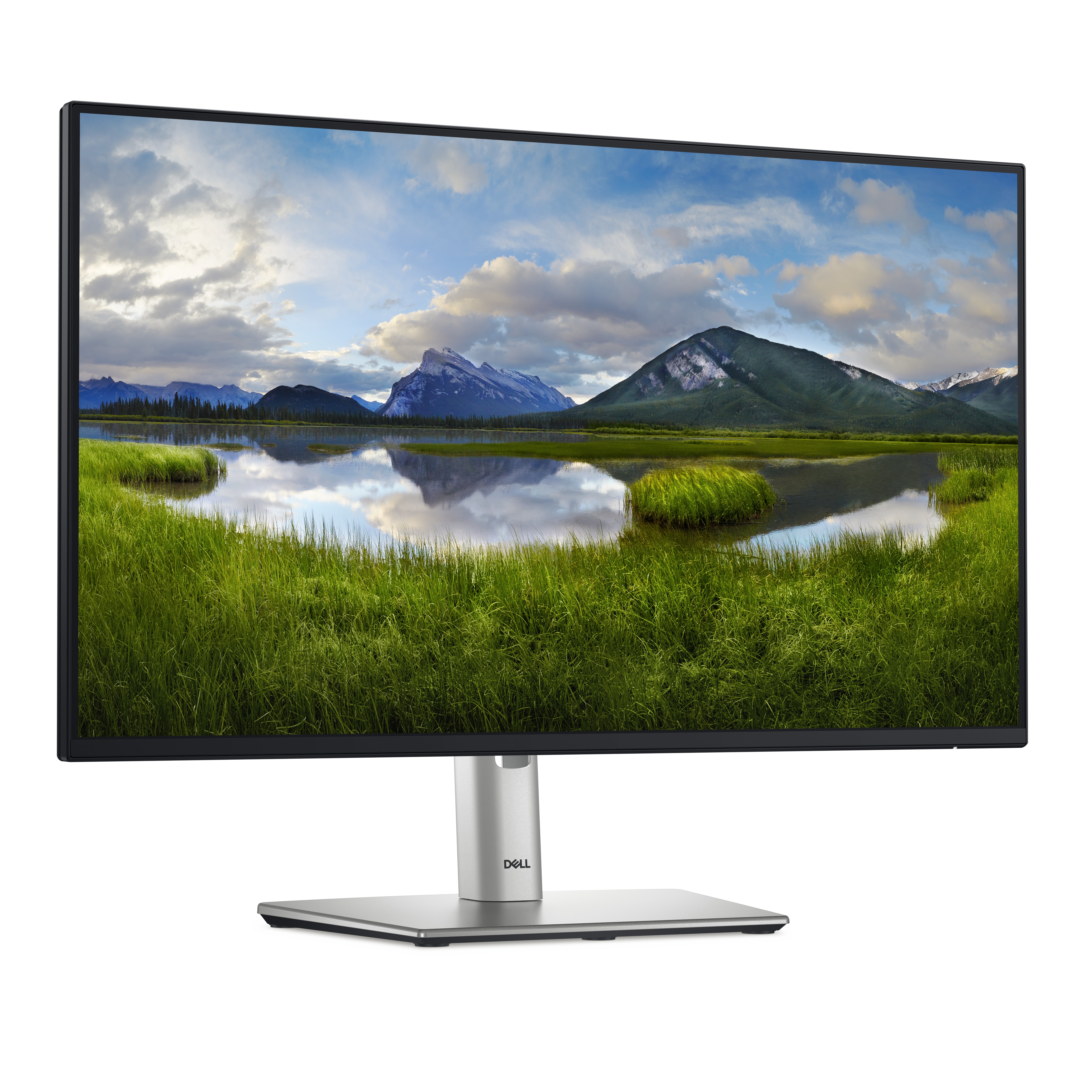 Dell P2425H 23,8 Zoll Full HD IPS-Monitor