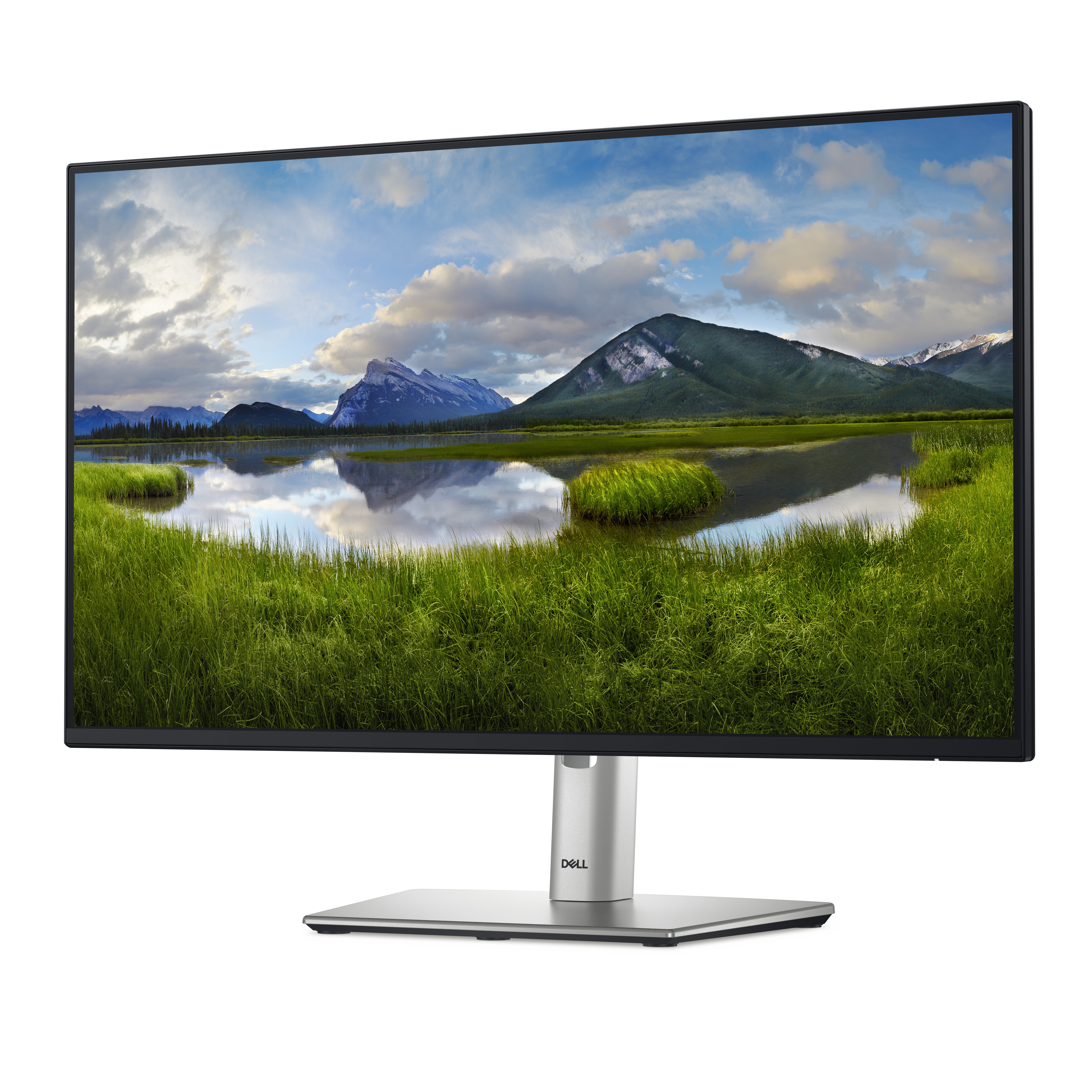 Dell P2425H 23,8 Zoll Full HD IPS-Monitor