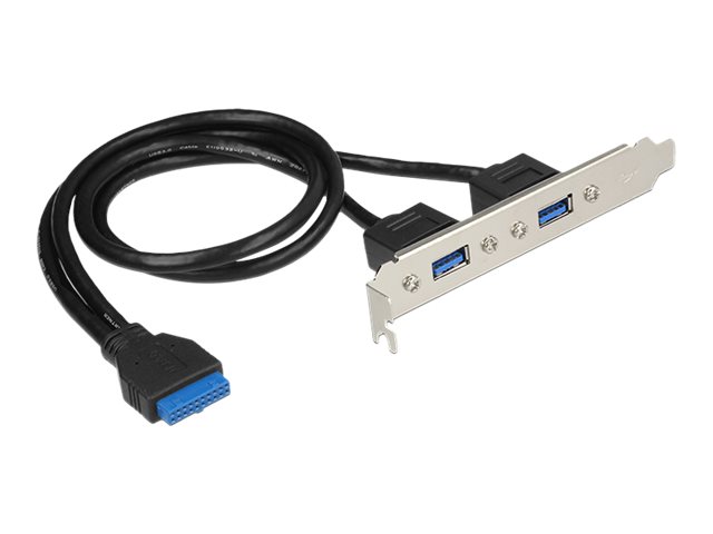 DeLOCK Slot bracket USBKonsole USB