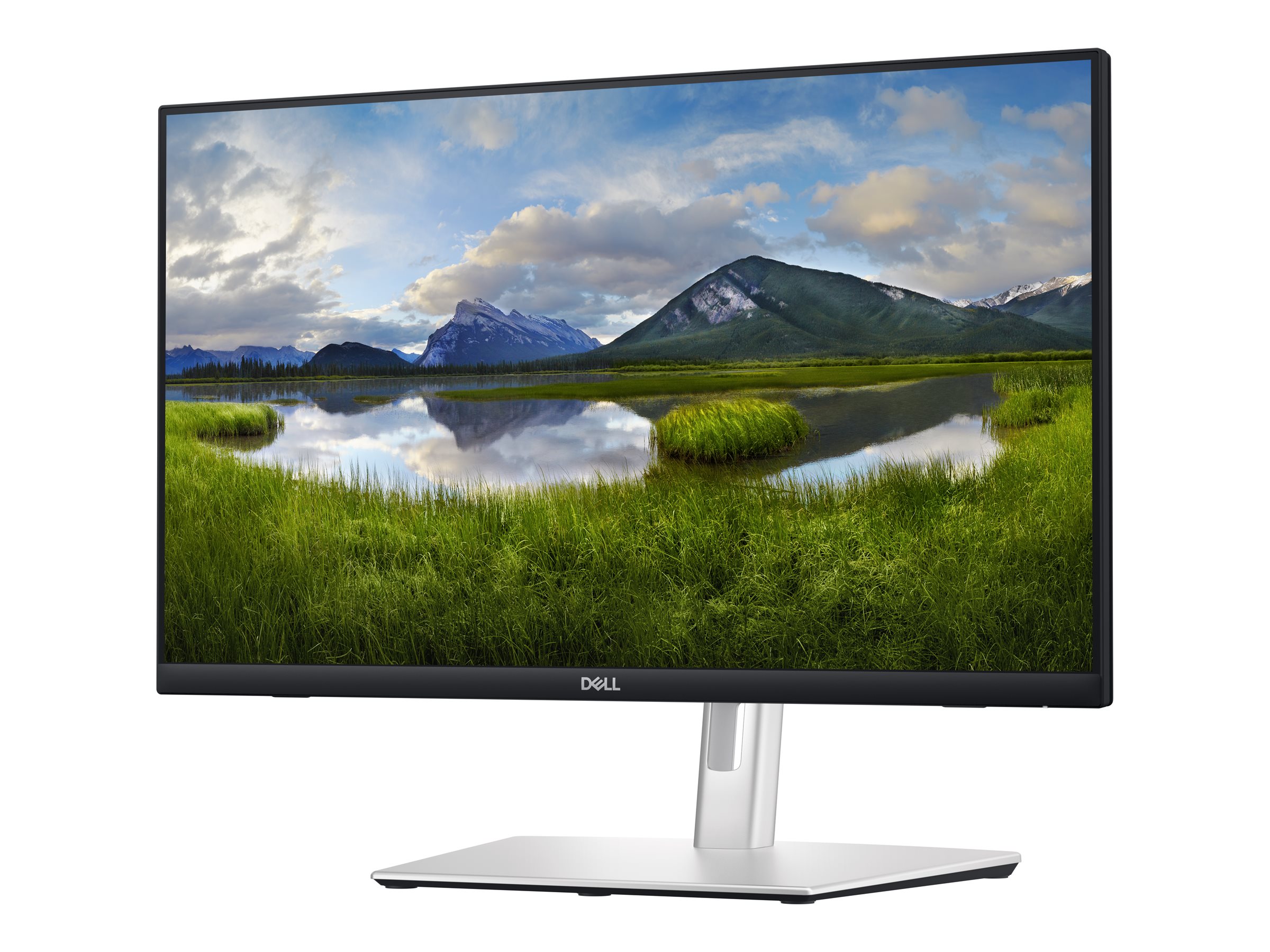 Dell P2424HT 24-Zoll Monitor