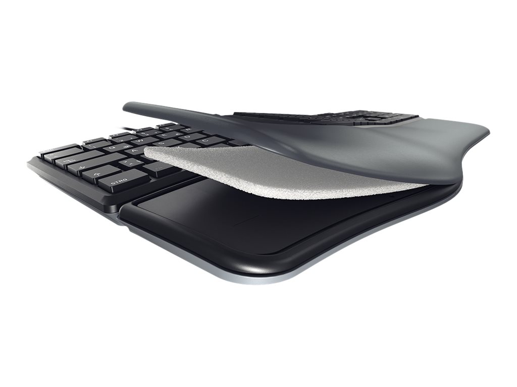 Cherry KC 4500 Ergo