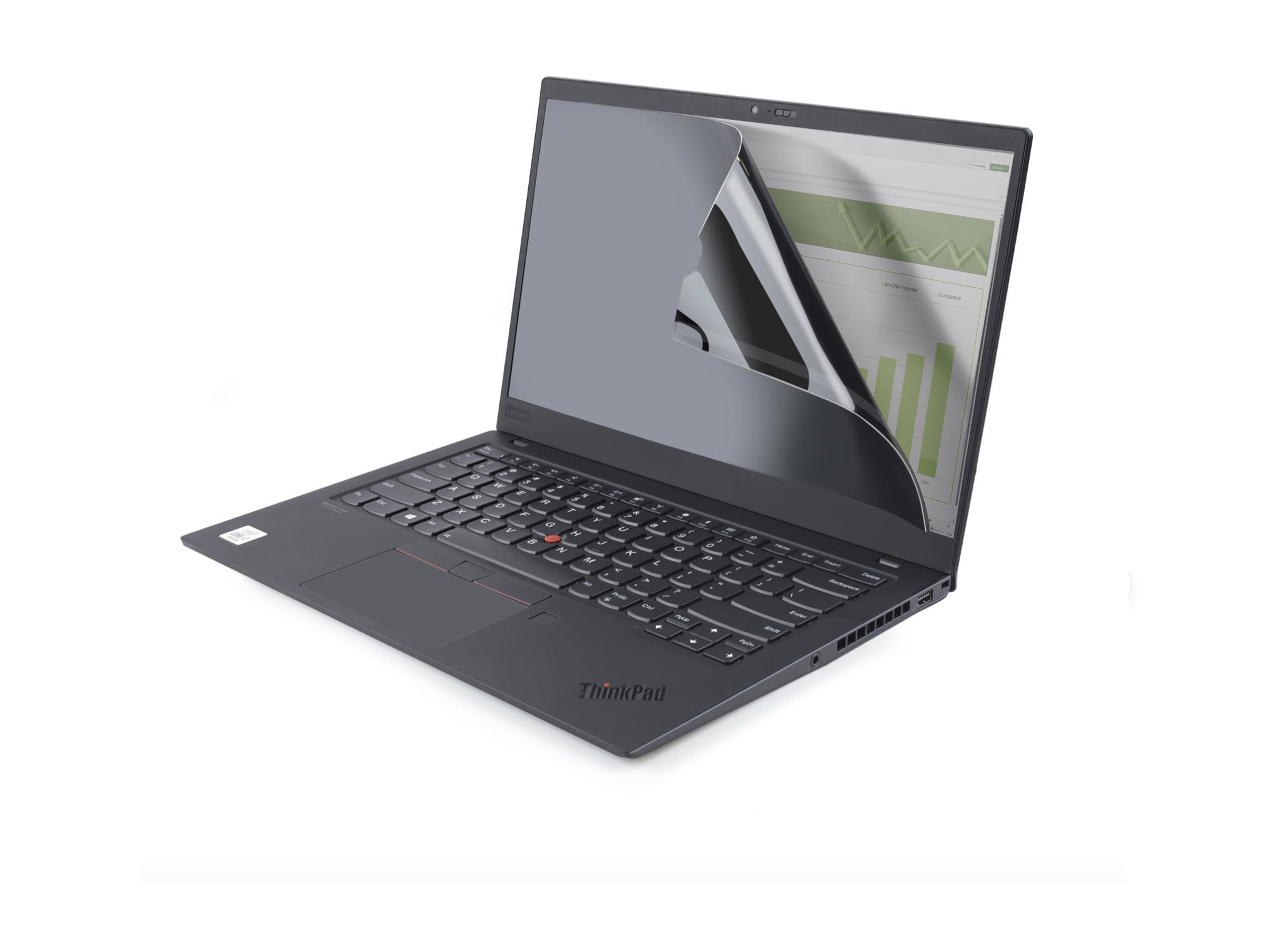 StarTech.com 17,3 Zoll Privacy Filter Anti-Glare