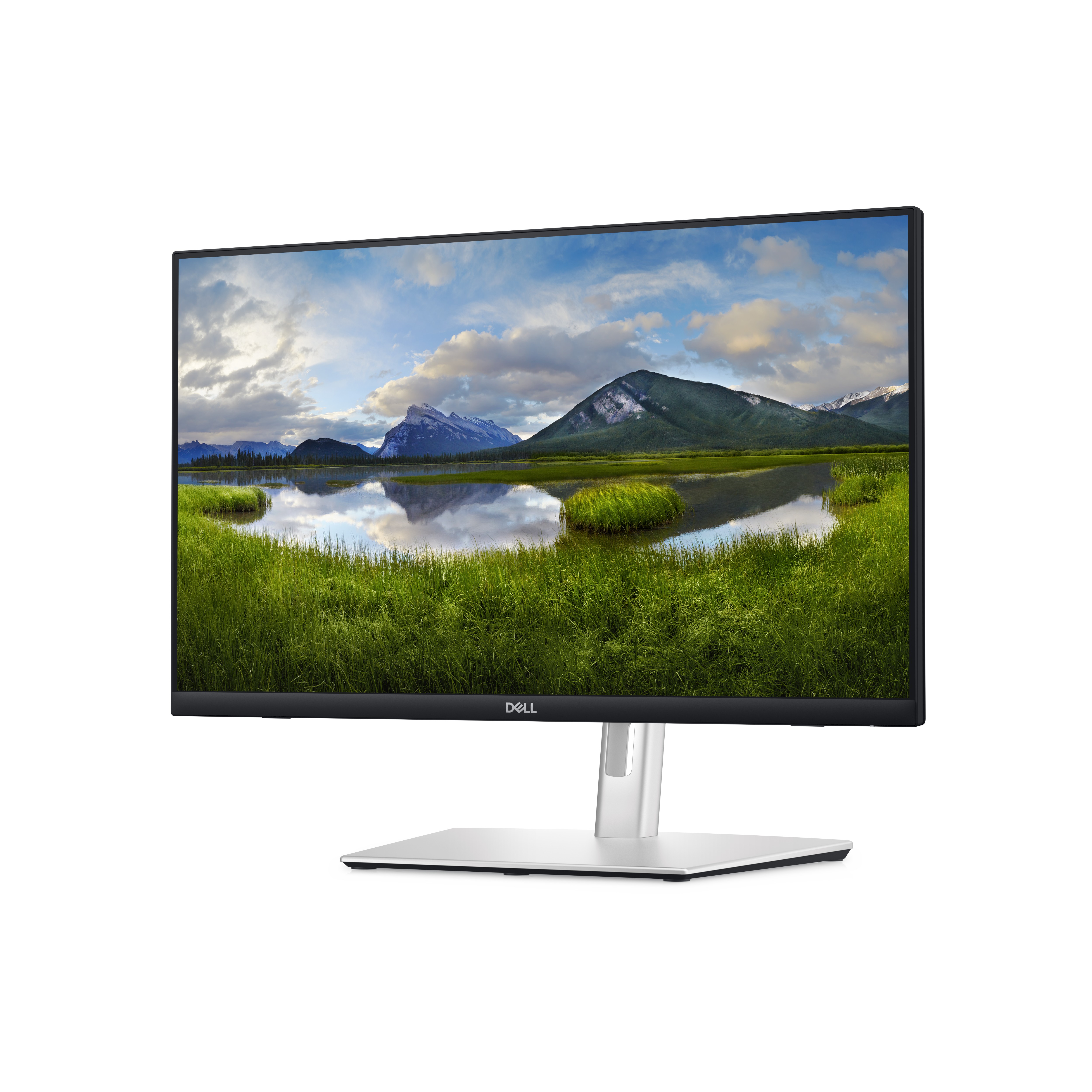 Dell P2424HT 24-Zoll Monitor