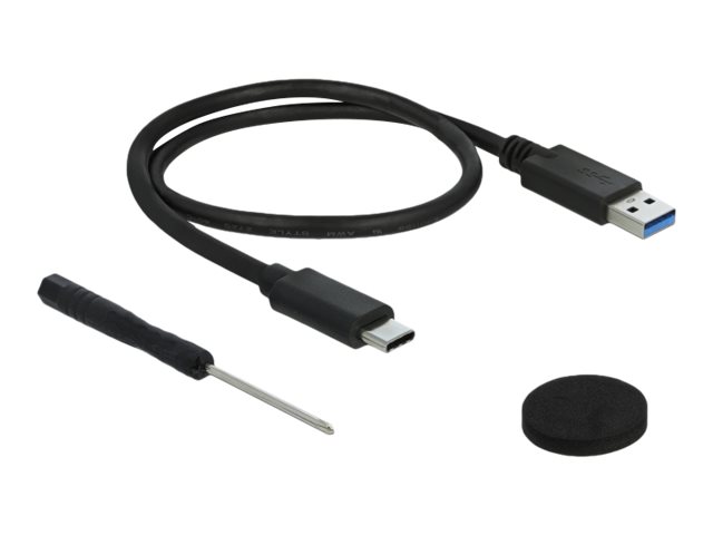 Delock 2.5 Zoll SATA Speichergehäuse USB 3.1 Gen 2