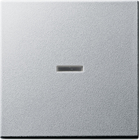 Gira Wippe 029026 Kontrollfenster System 55 Aluminium
