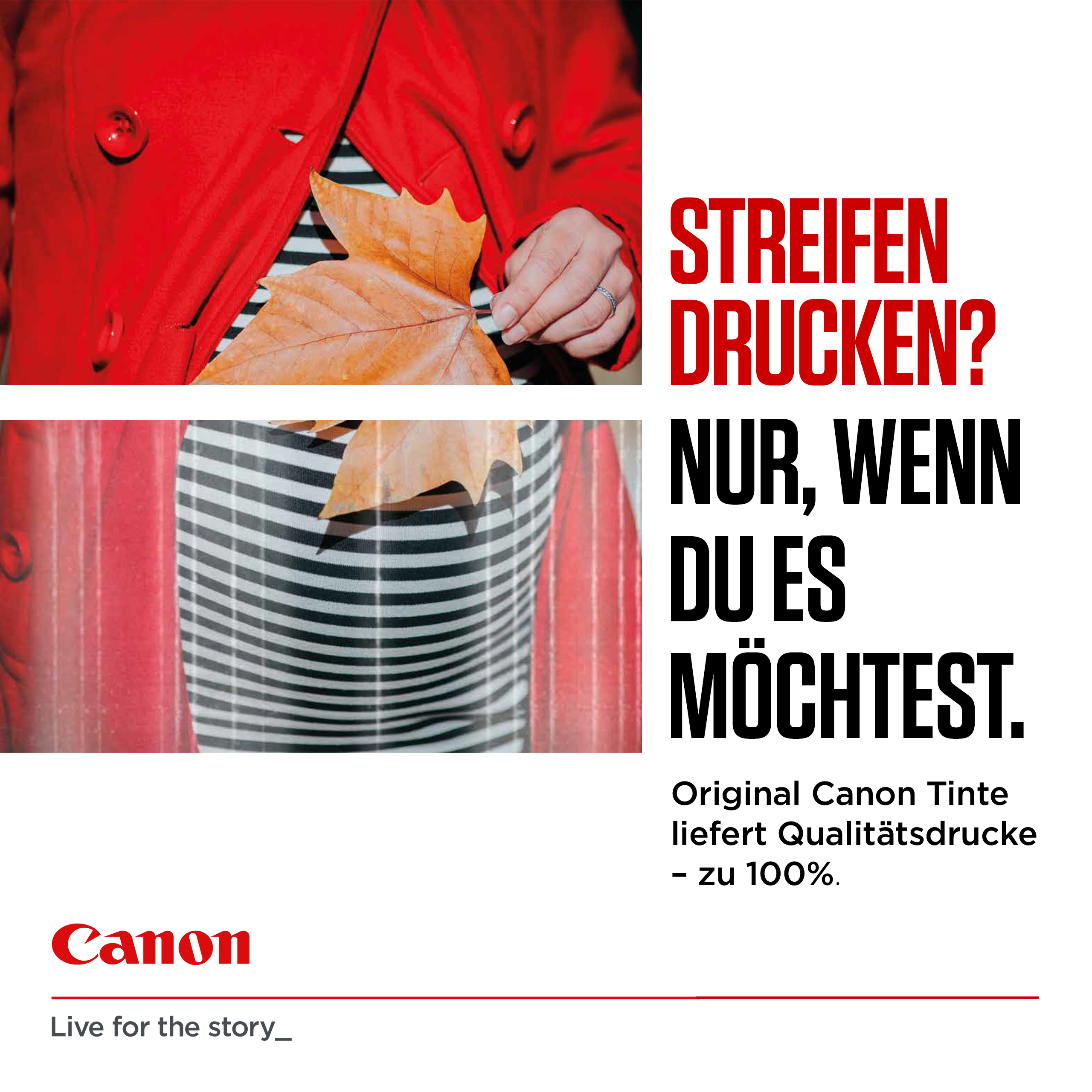 Canon CL586XL C color Druckkopf