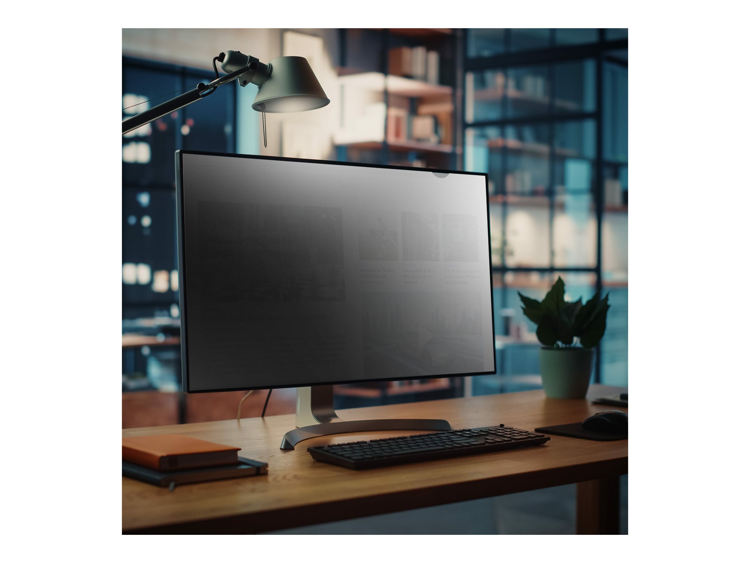 STARTECHCOM 215inch Monitor Privacy Screen Universal Matte or Glossy 169 Aspect Ratio 30 Degree Privacy Viewing Angle