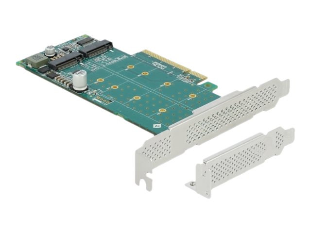 Delock PCI Express x8 Karte zu 2 x NVMe M.2 Key M