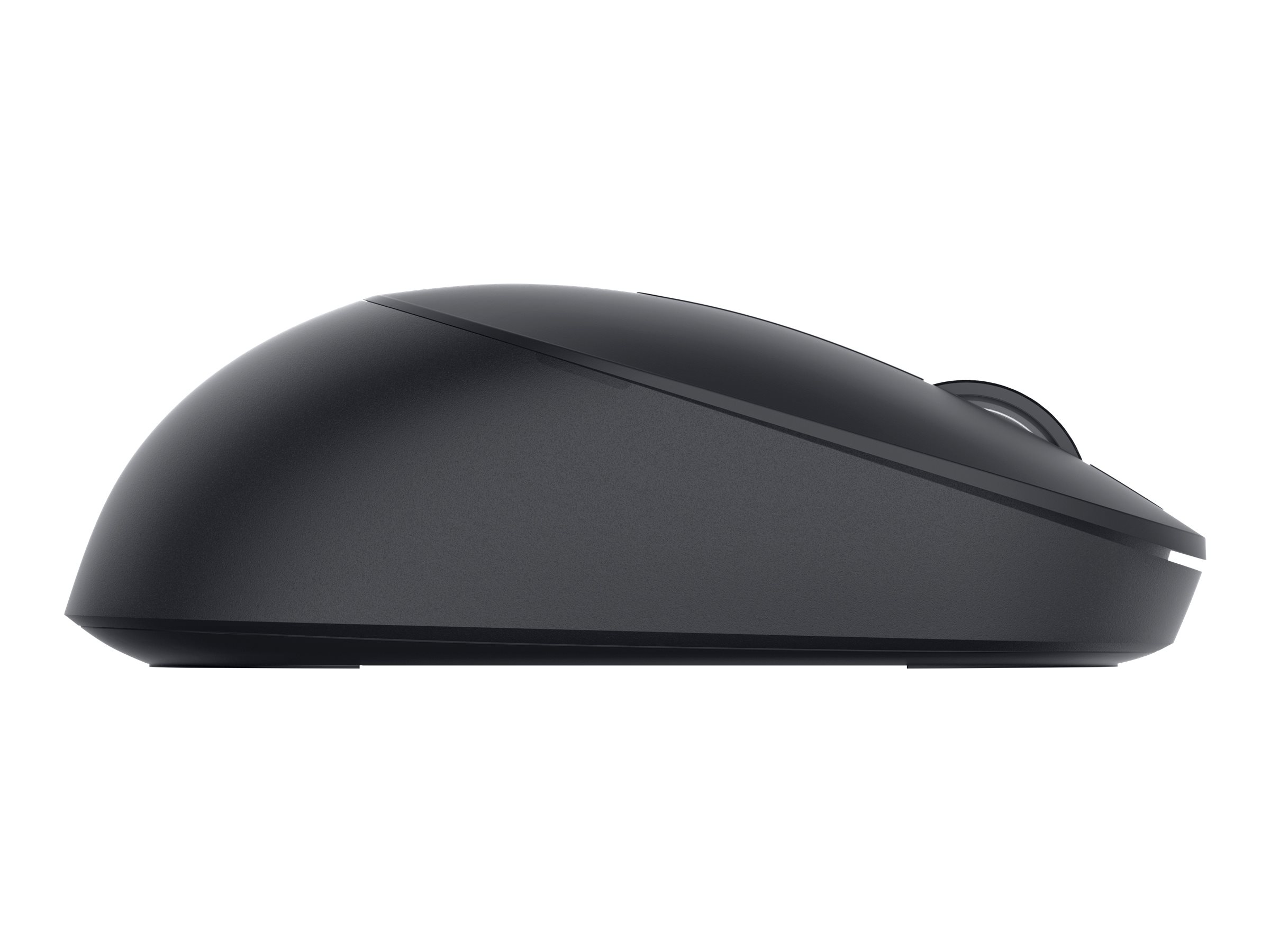 Dell MS300 Maus Full-Size rechts- und linkshändig Schwarz
