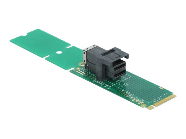 Delock Adapter M.2 Key M zu SFF-8643 NVMe 22110 / 2280