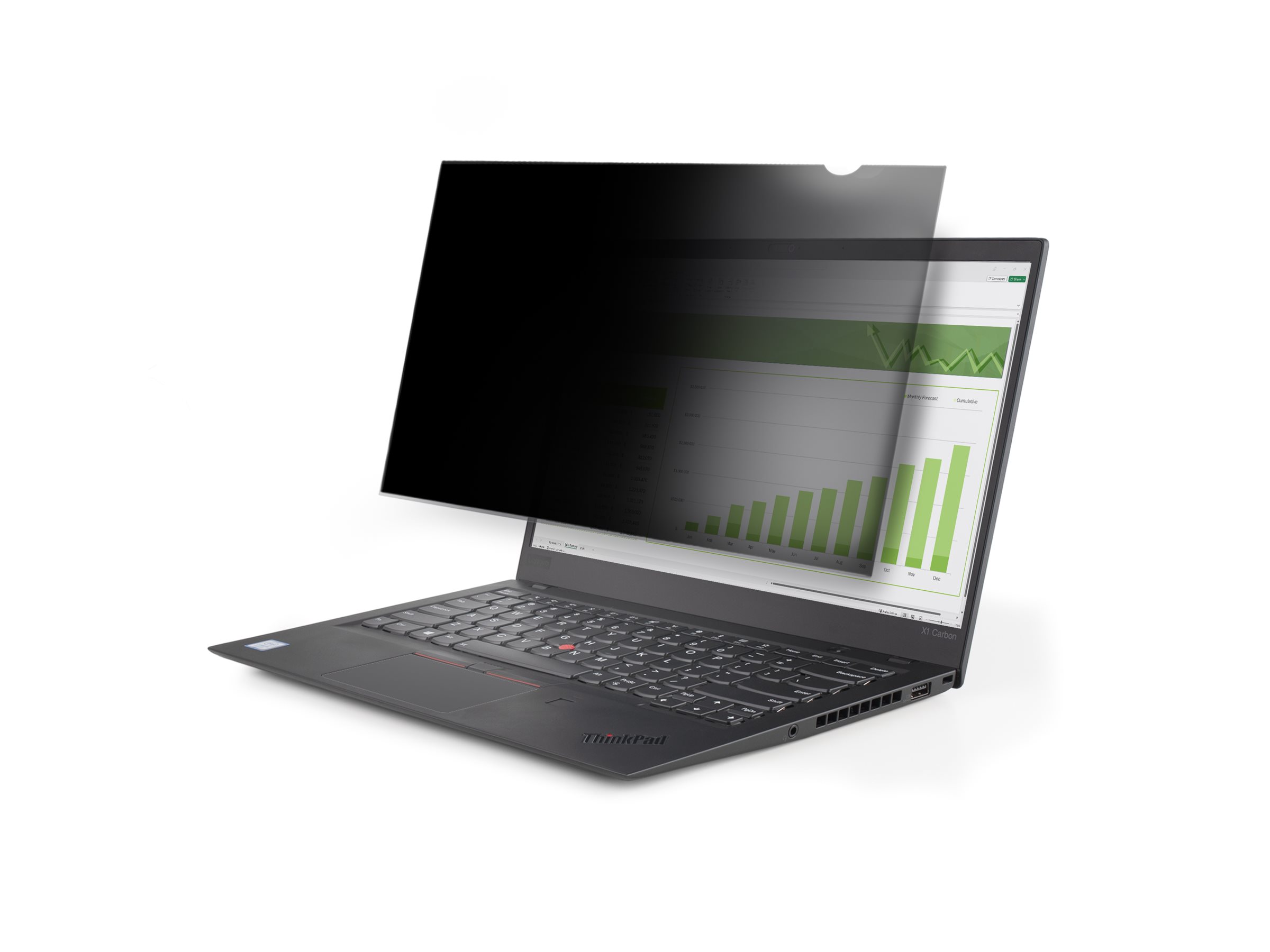 StarTech.com 17,3 Zoll Privacy Filter Anti-Glare