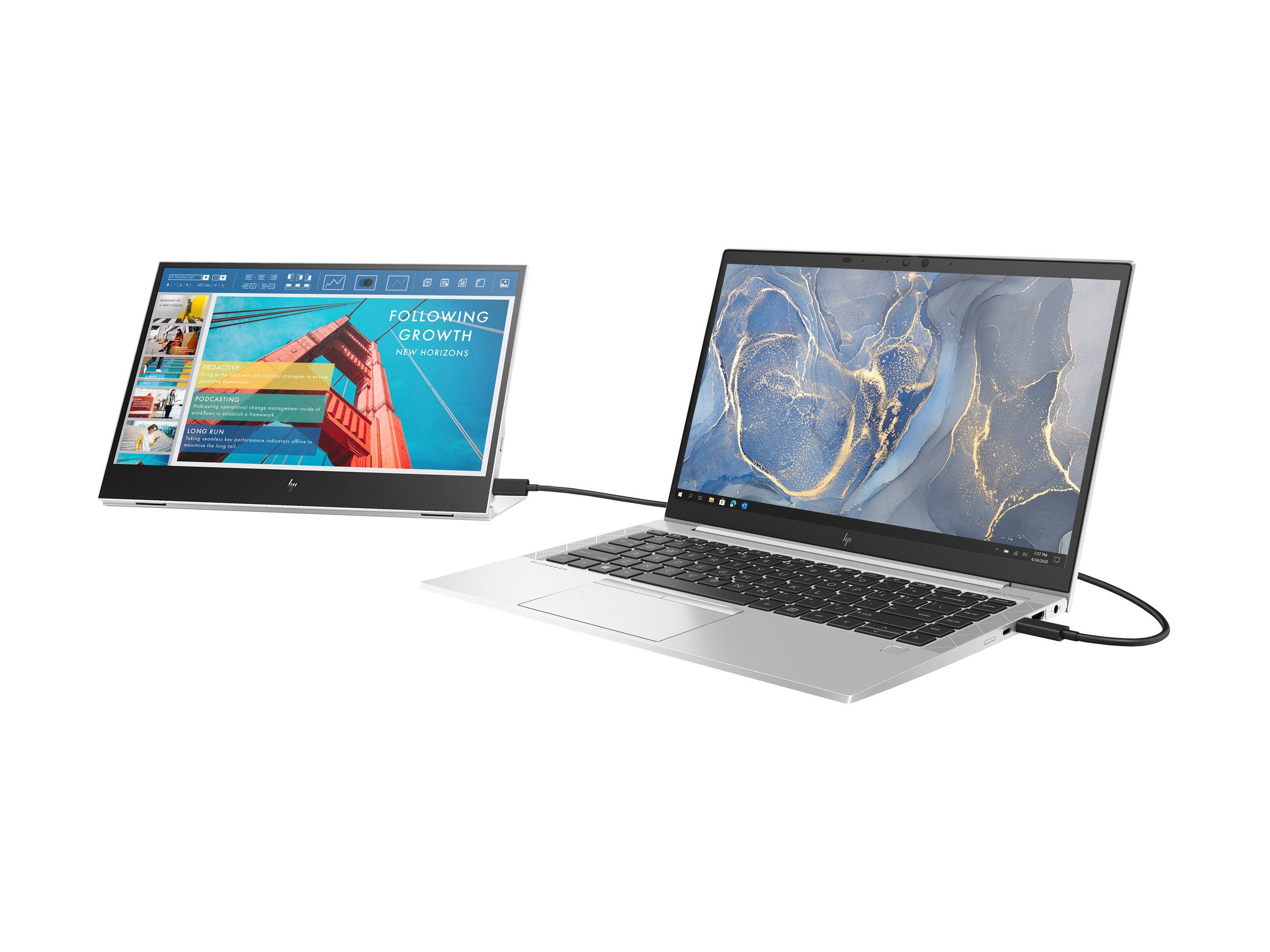 HP E14 G4 tragbarer Monitor 14 Zoll