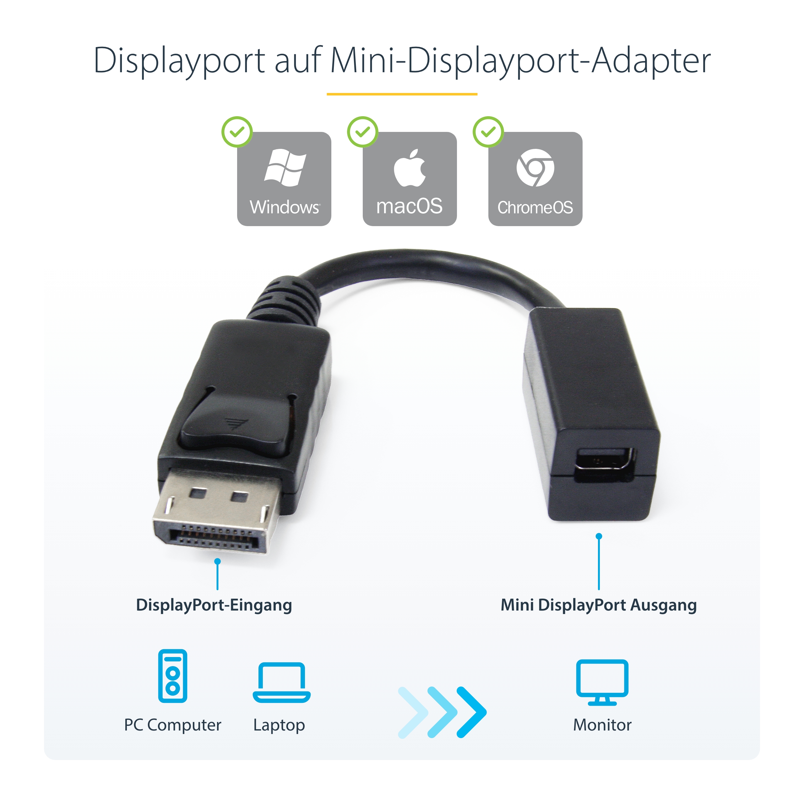 StarTech.com DisplayPort zu Mini DisplayPort Adapter 15 cm