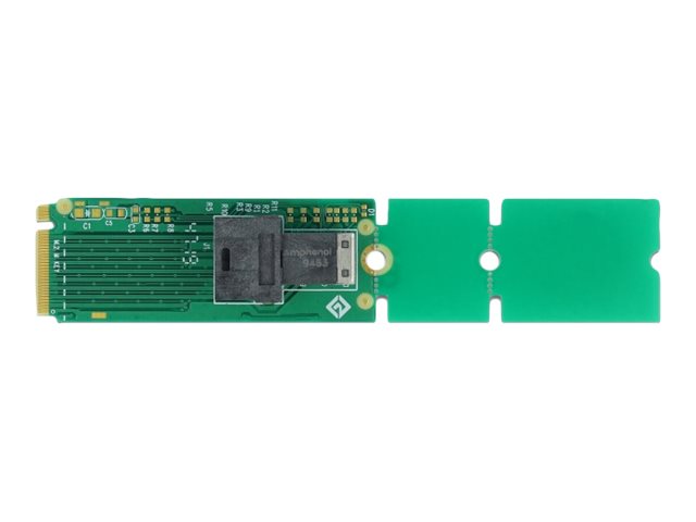 Delock Adapter M.2 Key M zu SFF-8643 NVMe 22110 / 2280