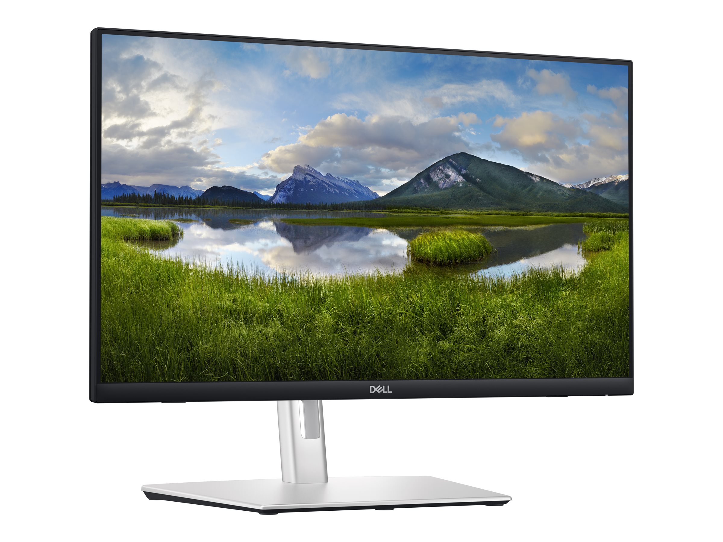 Dell P2424HT 24-Zoll Monitor