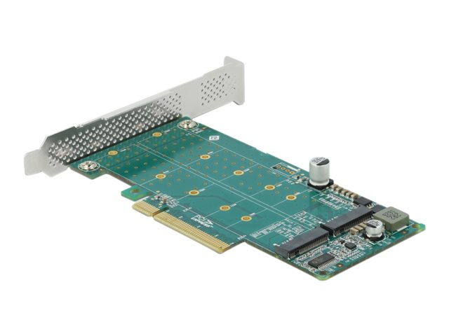 Delock PCI Express x8 Karte zu 2 x NVMe M.2 Key M
