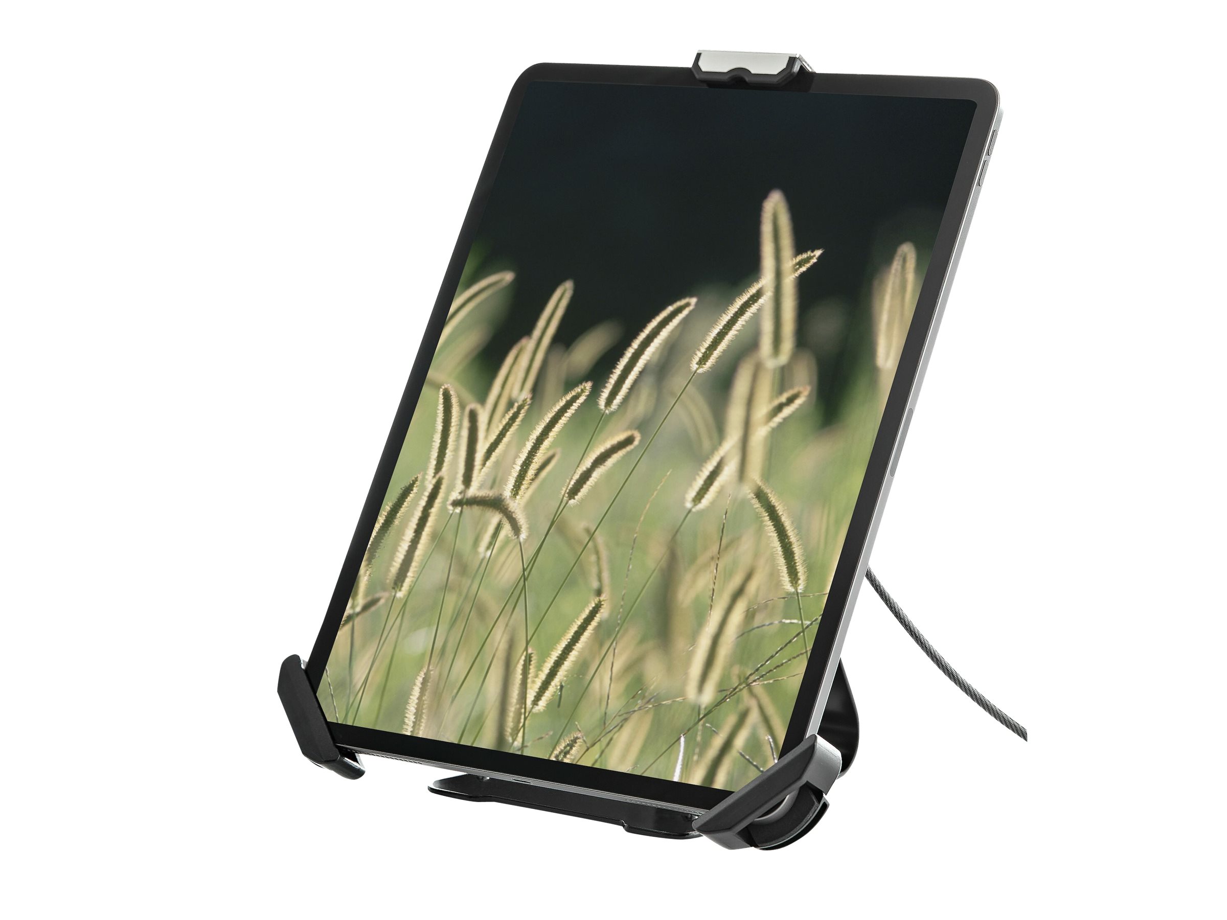 StarTech.com Tablet-Halterung 7,9-13 Zoll mit Diebstahlsicherung