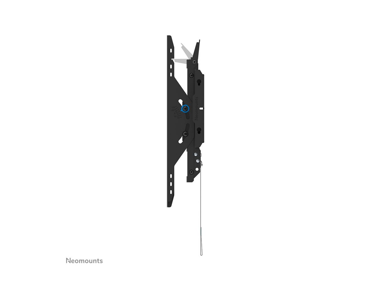 NewStar LEVEL-750 43‑75 Zoll Schwarz 100 kg