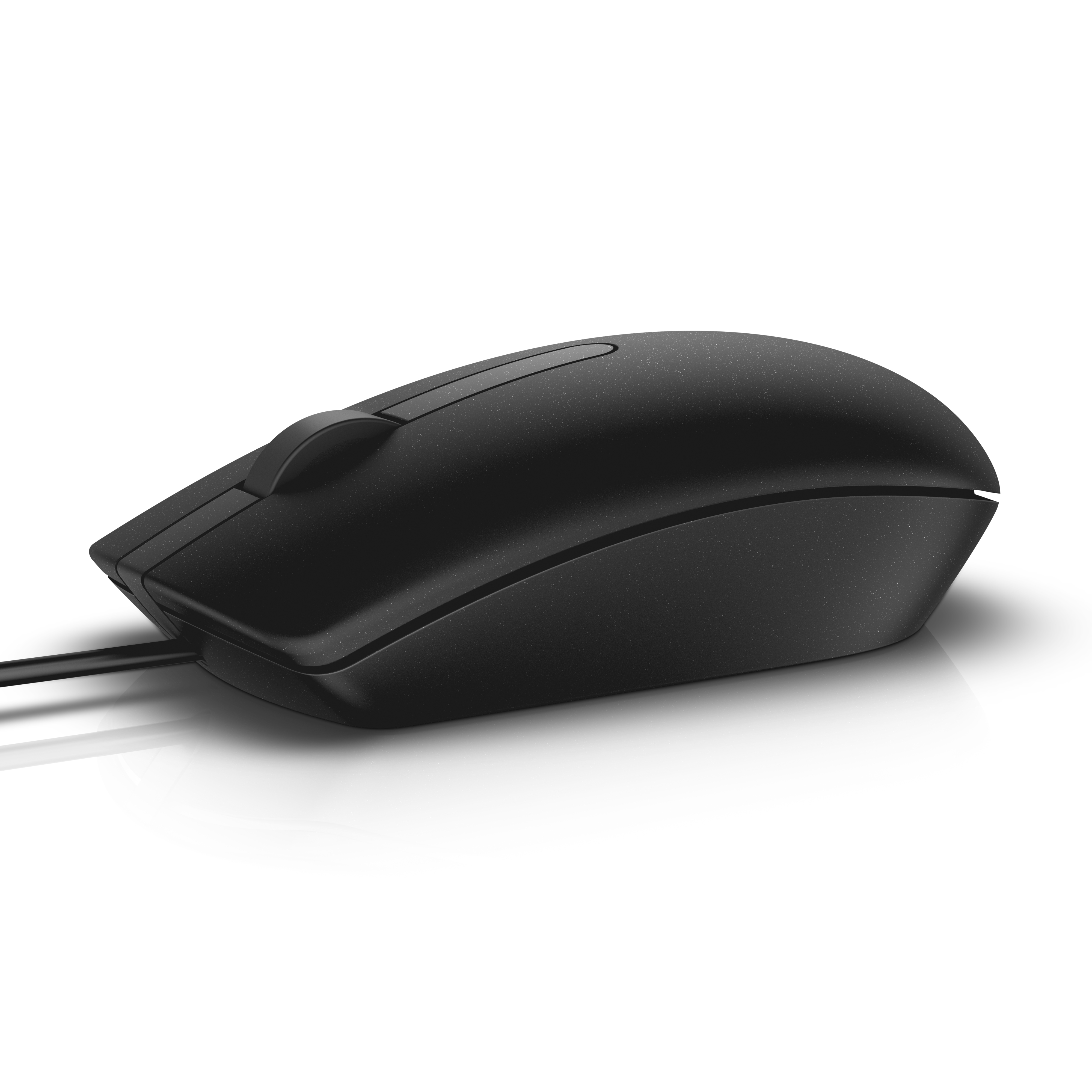 Dell MS116 Maus optisch