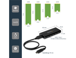 StarTech.com M.2 Festplattengehäuse USB 3.1 Type-C
