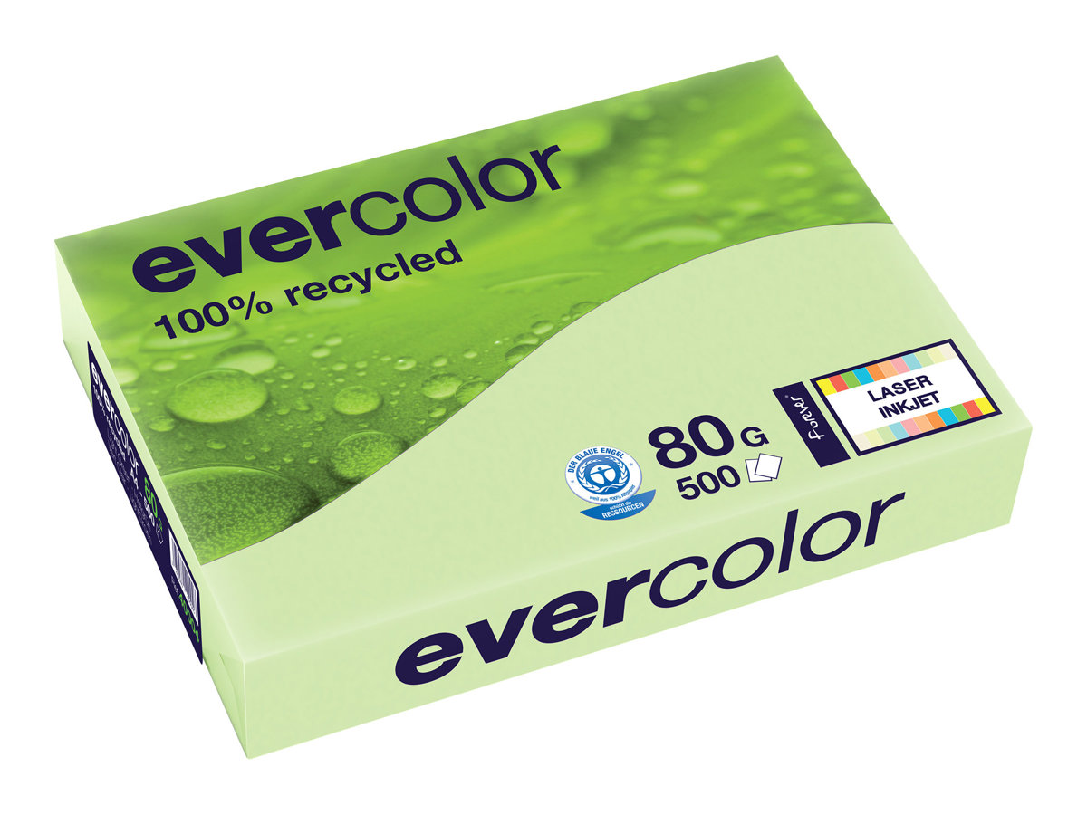 Exacompta Clairefontaine Recyclingpapier Evercolor hellgrün A4
