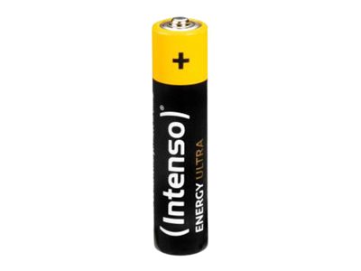 INTENSO Batterien 10er Pack