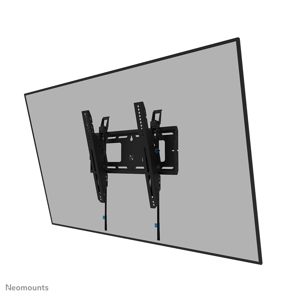 NewStar LEVEL-750 43‑75 Zoll Schwarz 100 kg