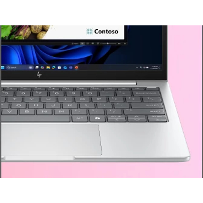 HP EliteBook 8 G1a 13,3 Zoll AMD Ryzen 5 230 16 GB RAM 512 GB SSD