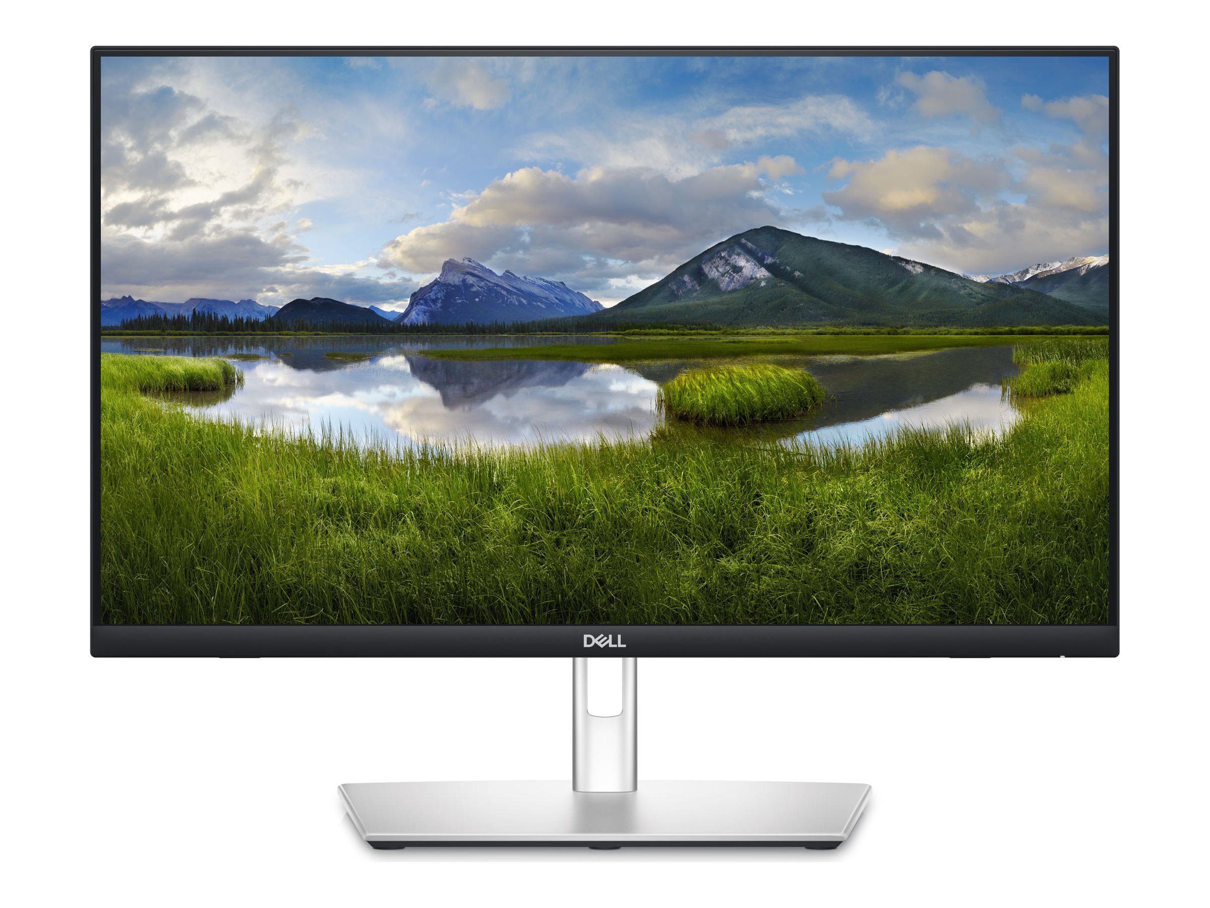 Dell P2424HT 24-Zoll Monitor
