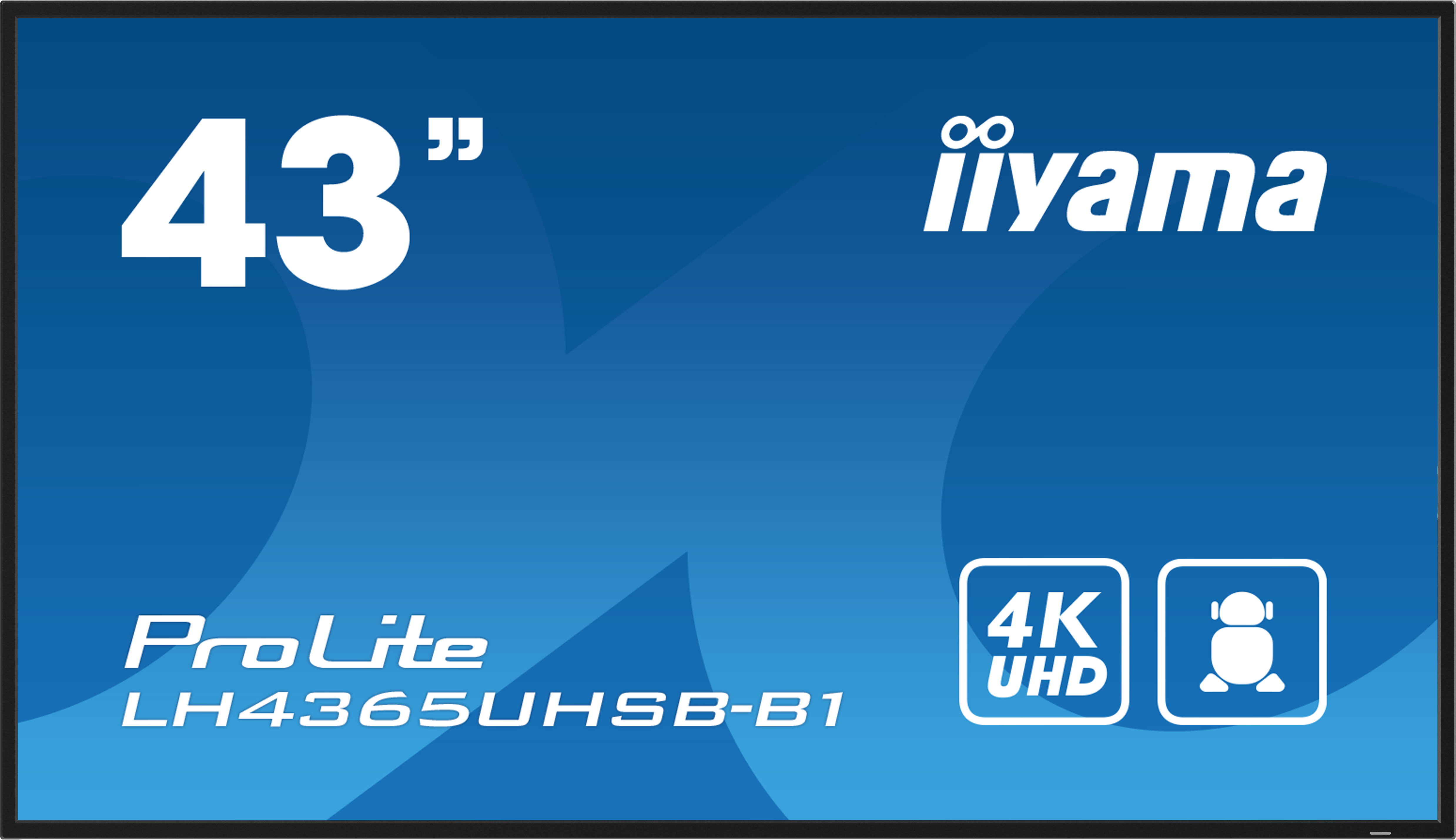 Iiyama ProLite LH4365UHSB-B1 43 Zoll IPS