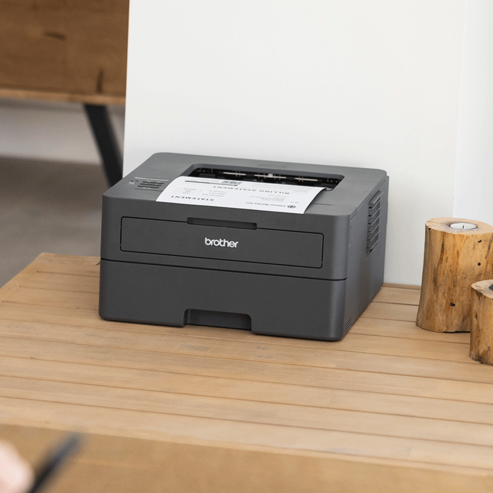 Brother HL-L2400DWE Laserdrucker s/w Duplex