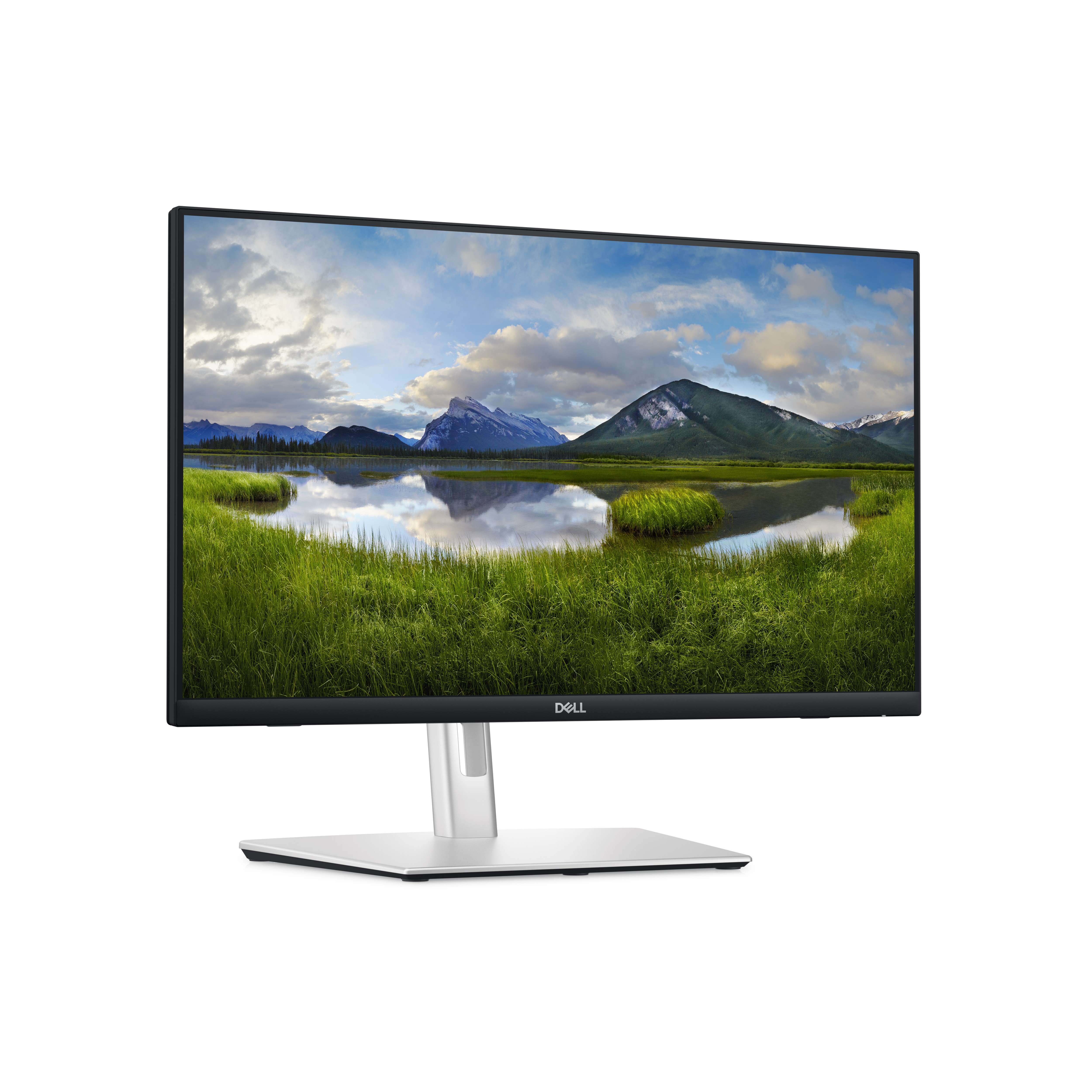 Dell P2424HT 24-Zoll Monitor