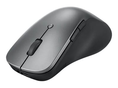 Lenovo Professional Maus Bluetooth ergonomisch